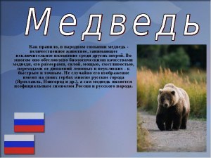 Какое животное является символом Сибири?