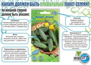 Какие огурцы подходят на семена, как определить по внешнему виду?