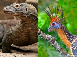 Птицы рептилии?