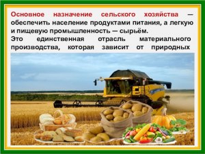 Сможет ли органическое сельское хозяйство обеспечить пищей человечество?