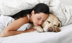 Правильно ли то, что домашние собаки и кошки спят с хозяевами в их постели?