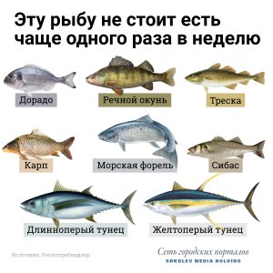 Почему в речной рыбе костей много, а в морской мало?