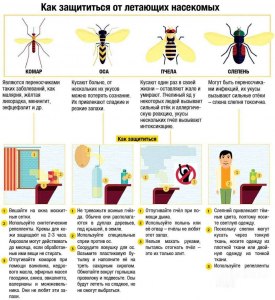 Как защититься от укуса ос и пчел при работе на улице?