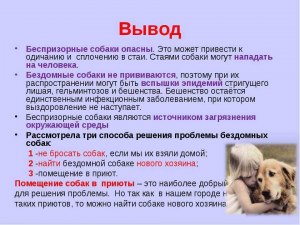 Почему собака хочет спать с хозяином? В чем польза и вред?