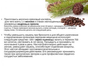 Можно ли давать кедровые орешки котам?