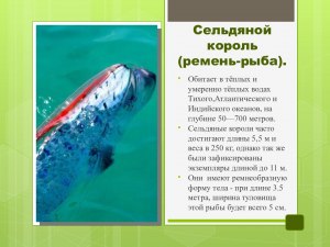 Сельдяной король. За что рыба получила свое название?