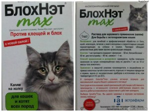 Какие есть минусы у капель от блох для кошек?