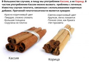 В каких странах растет корица?