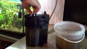 Как правильно чистить наружный фильтр аквариума?
