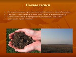 Часто ли в июне , июле и августе сухая почва во Владивостоке?