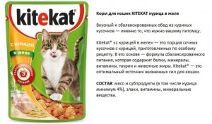Что делать, если кот, попробовав Китекет, другой корм отказывается есть?