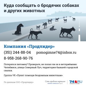 Куда обратиться, чтобы отловили агрессивных чипированных собак?