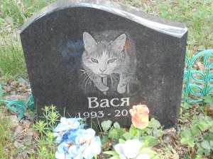 Можно ли захоронить кошку на кладбище с ее хозяевами?