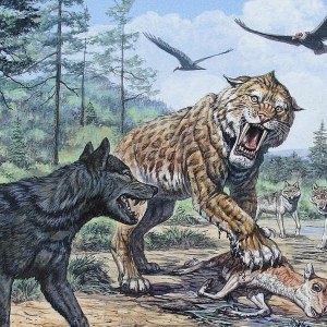 Какое древнее животное, охотилось на людей? Эволюция или созданный хищник?
