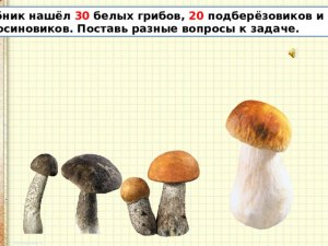 Белый гриб берёзовый и подберёзовик это одно и то же или разные грибы?