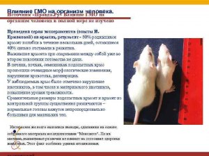 Природа пострадала от ГМО?