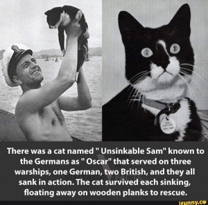 Чем известен кот "Сэм Непотопляемый" (он же Оскар)?