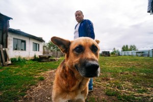Почему в СССР держали гораздо меньше собак, домашних животных, чем сейчас?