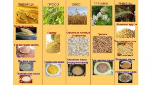 Чем отличается пшено от пшеницы?