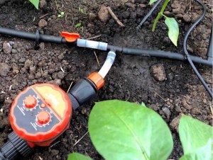Как поливать огород, если нет водопровода?