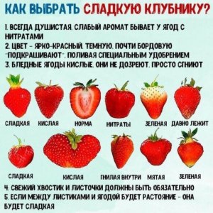 Несладкая клубника. Почему?