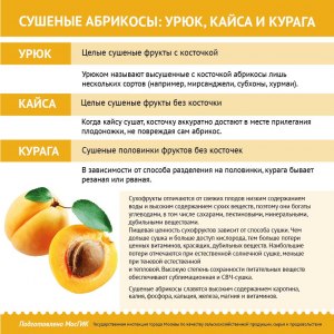 Курага, урюк, кайса - какая между ними разница и что полезнее всего?