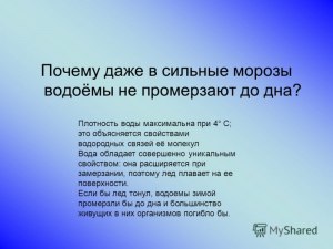 Какие водные растения могут выжить в промерзающем до дна водоеме?