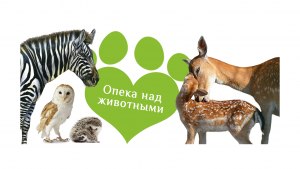Как оформить опекунство над любимым животным в Московском зоопарке?