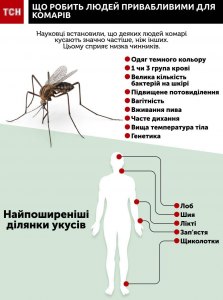 На какой скорости передвигаться, чтобы не кусали комары?