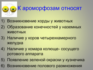 Какое изменение не относят к ароморфозу?