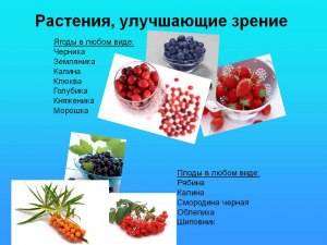 Какие ягоды благотворно влияют на органы зрения человека?