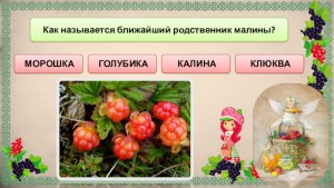 Как называется ближайший родственник малины: клюква, морошка, калина, ...?