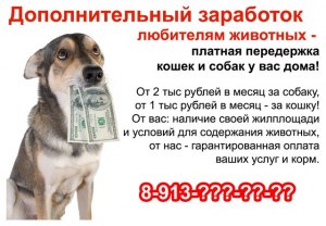 Как отдать собаку, которую взял на передержку?