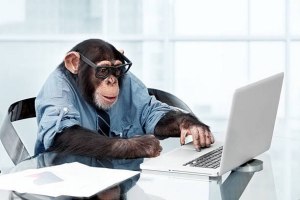 Сколько в целом заработал бизнесмен на обезьянах (см.)?