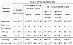 Рассада лука эксибишн, какую минимальную температуру выдержит в грунте?