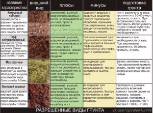 Как часто надо менять грунт у ахотин?