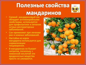 Какие сорта мандаринов не могут размножаться без помощи человека?