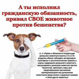 Делают ли бесплатные прививки домашним животным, какие?