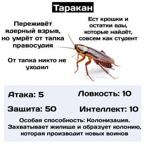 Вам встречались тараканы, которые едят засохшую человеческую кровь?