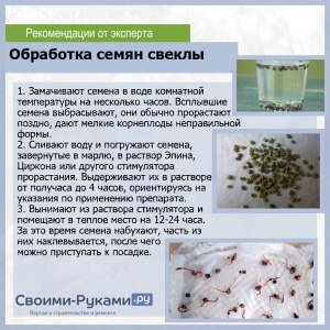Нужно ли замачивать семена арбуза перед посадкой, сколько их замачивать?