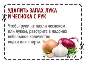 Как удалить с ножа запах лука?