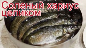 Через какое время можно есть соленого хариуса? Сколько солится хариус?