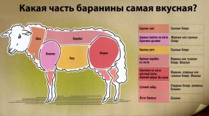 Из какого мяса-свинины, говядины, баранины бульон получается самым вкусный?