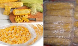Как сохранить початки кукурузы на зиму в домашних условиях?