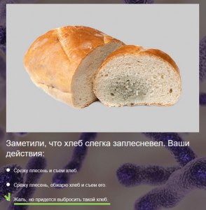 Почему Российский хлеб плесневеет за три дня?