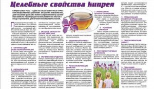 Иван чай крепит или слабит?