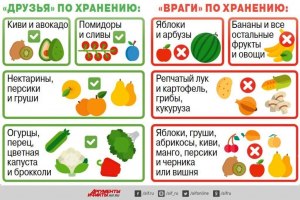 Какие овощи и фрукты нельзя хранить вместе?