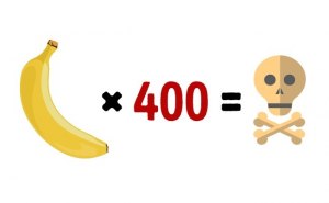 Какова смертельная доза бананов?