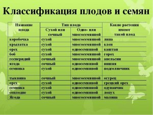 Название "сочинки" от слова "сочные" или от слова "Сочи" (рецепт)?