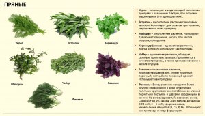 Какую зелень используют в чеченской кухни при приготовлении блюд?